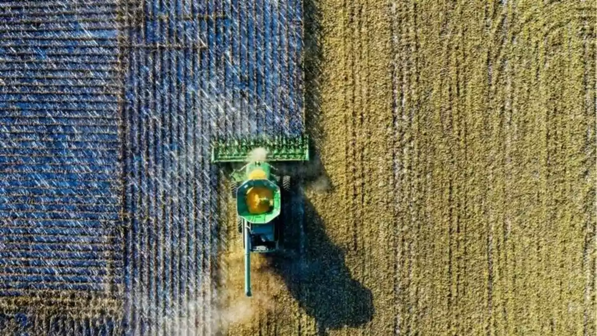 Engloba novedades de las industrias de agricultura, pesca o ganadería. Aquí se recogen todas las novedades que hacen referencia a este tipo de empresas.