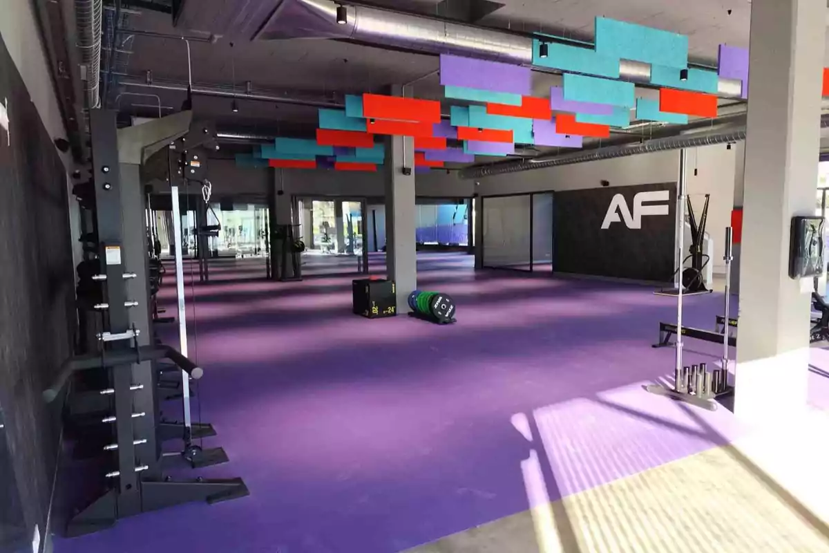 Gimnasio moderno con piso morado, equipo de entrenamiento y paneles acústicos de colores en el techo