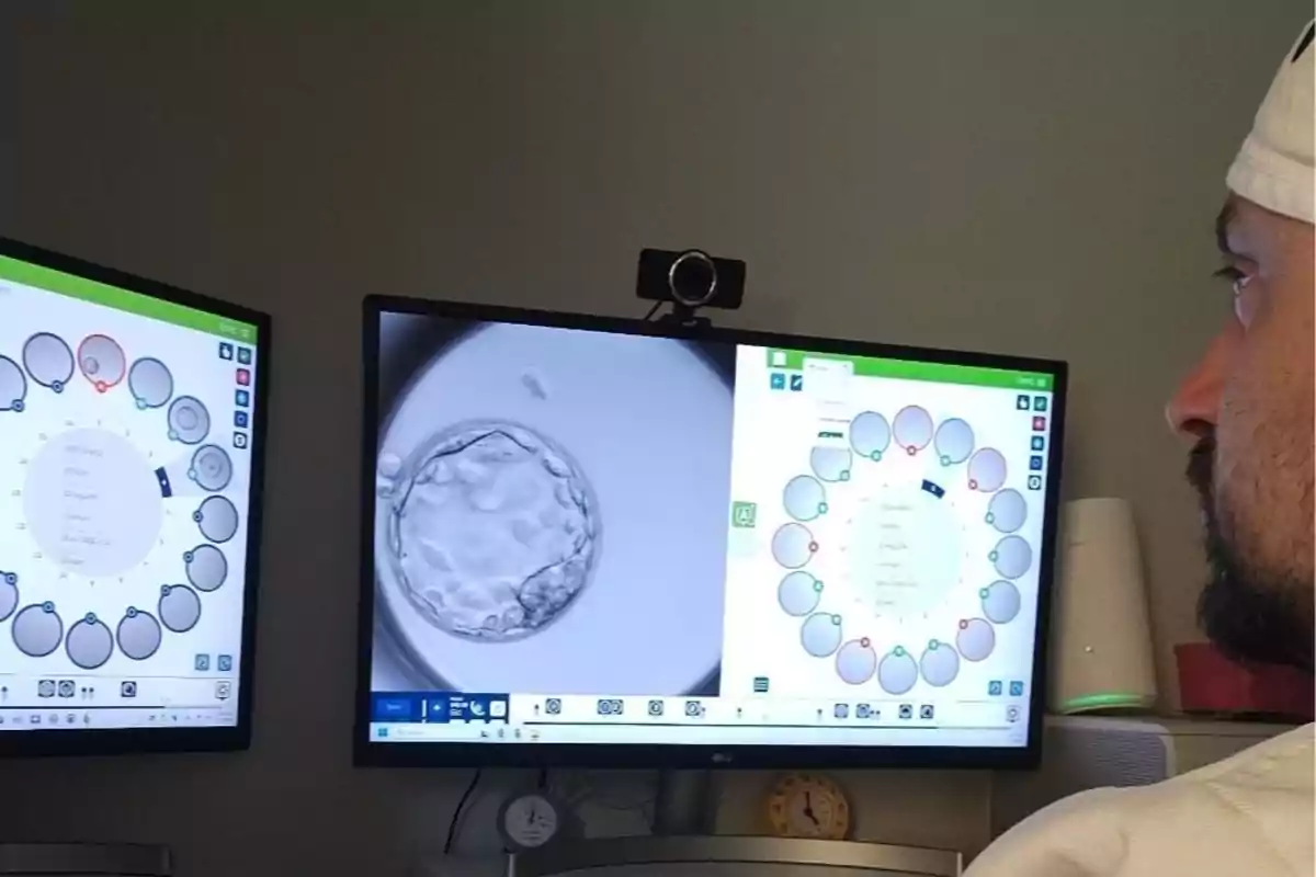 Un hombre observa dos monitores que muestran imágenes y gráficos relacionados con embriones en un laboratorio.