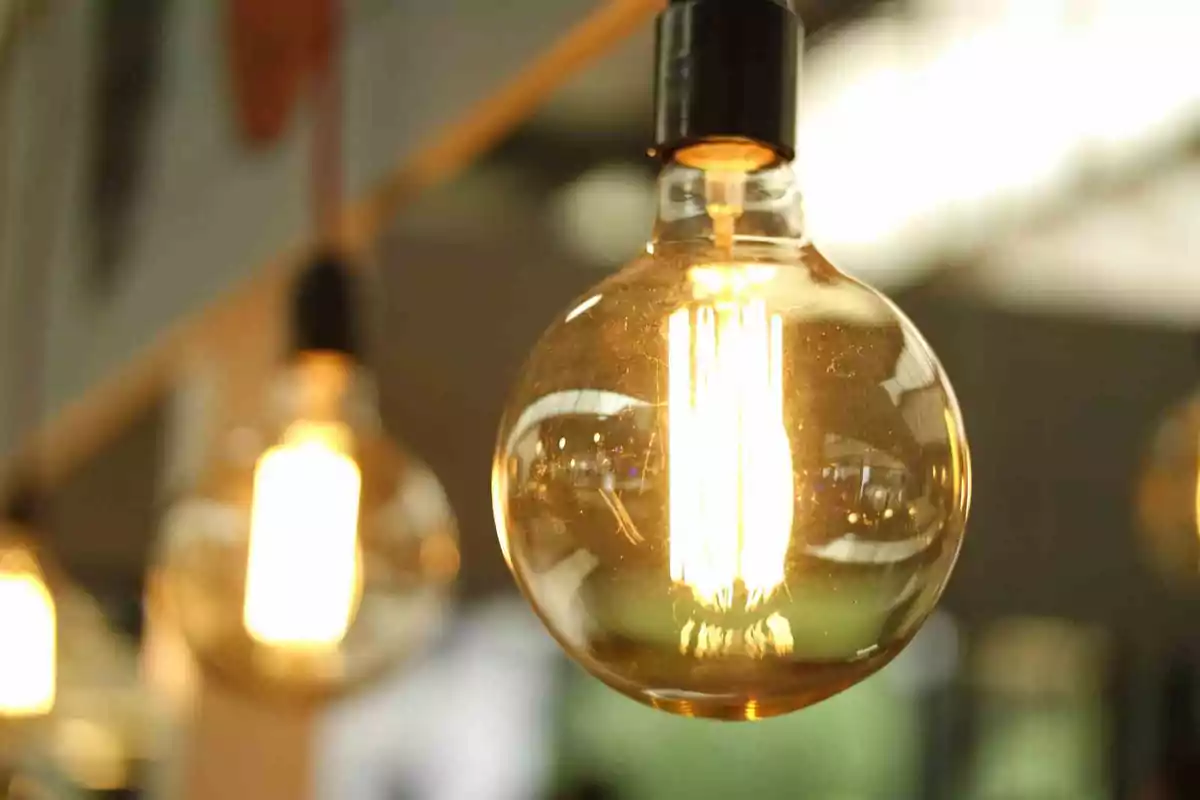 Bombillas encendidas colgando en un ambiente interior con luz cálida