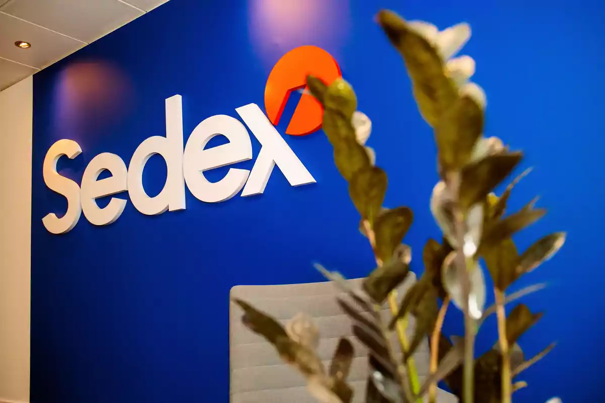 Logo de Sedex en una pared azul con una planta desenfocada en primer plano y una silla gris clara