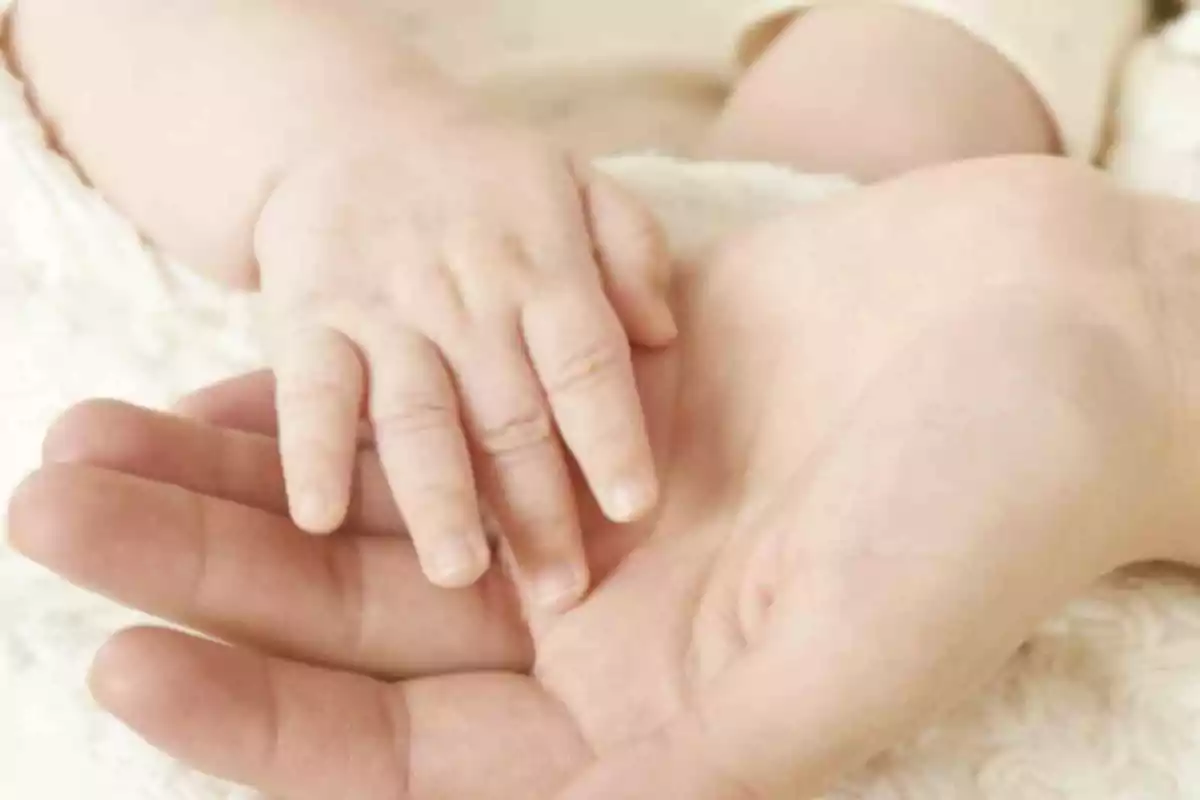 Mano de un bebé apoyada sobre la palma de un adulto