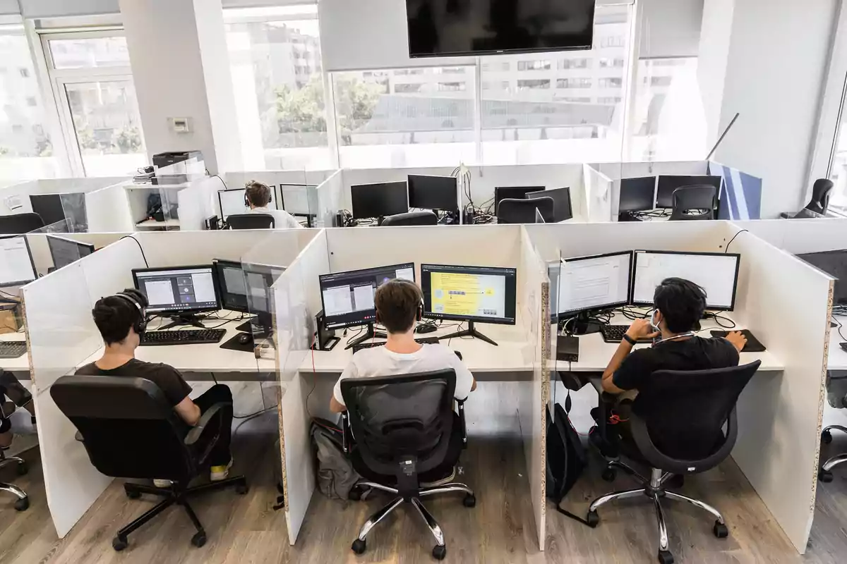 Personas trabajando en escritorios individuales con computadoras en una oficina moderna y luminosa Personas trabajando en escritorios individuales con computadoras en una oficina moderna y luminosa