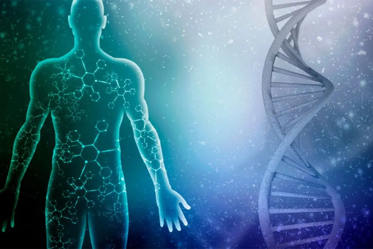 Ilustración de silueta humana con estructuras químicas brillantes junto a una doble hélice de ADN sobre fondo azul científico