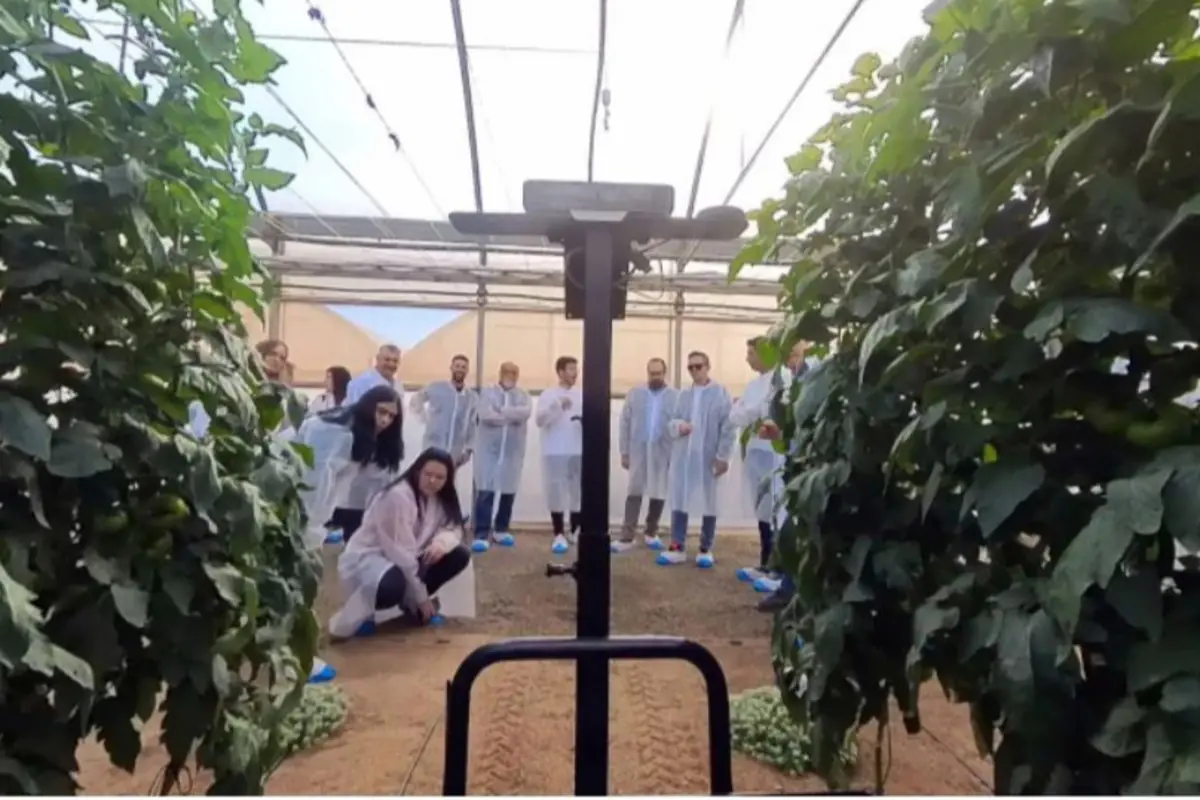 Grupo de personas con batas y cubrezapatos azules visitando un invernadero entre hileras de plantas verdes