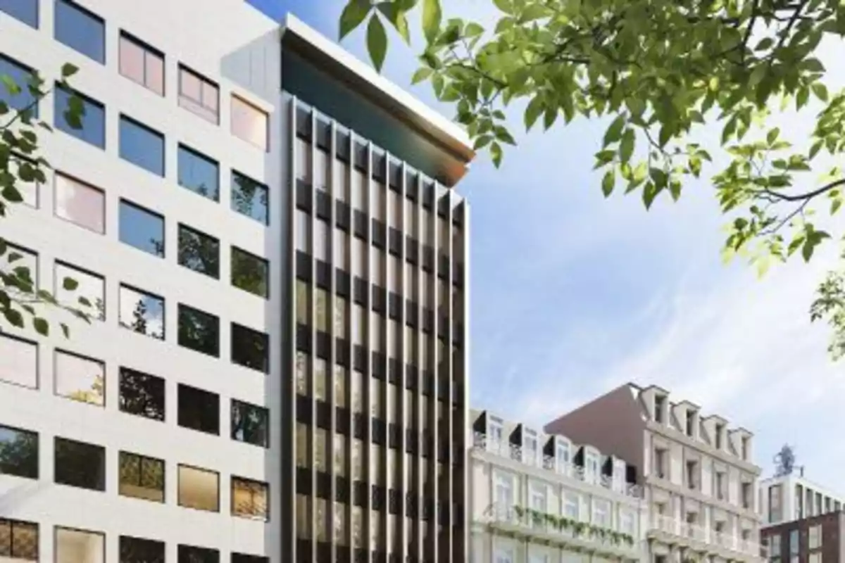 Fachada de edificios modernos y clásicos en una ciudad con ramas de árboles en primer plano y cielo despejado