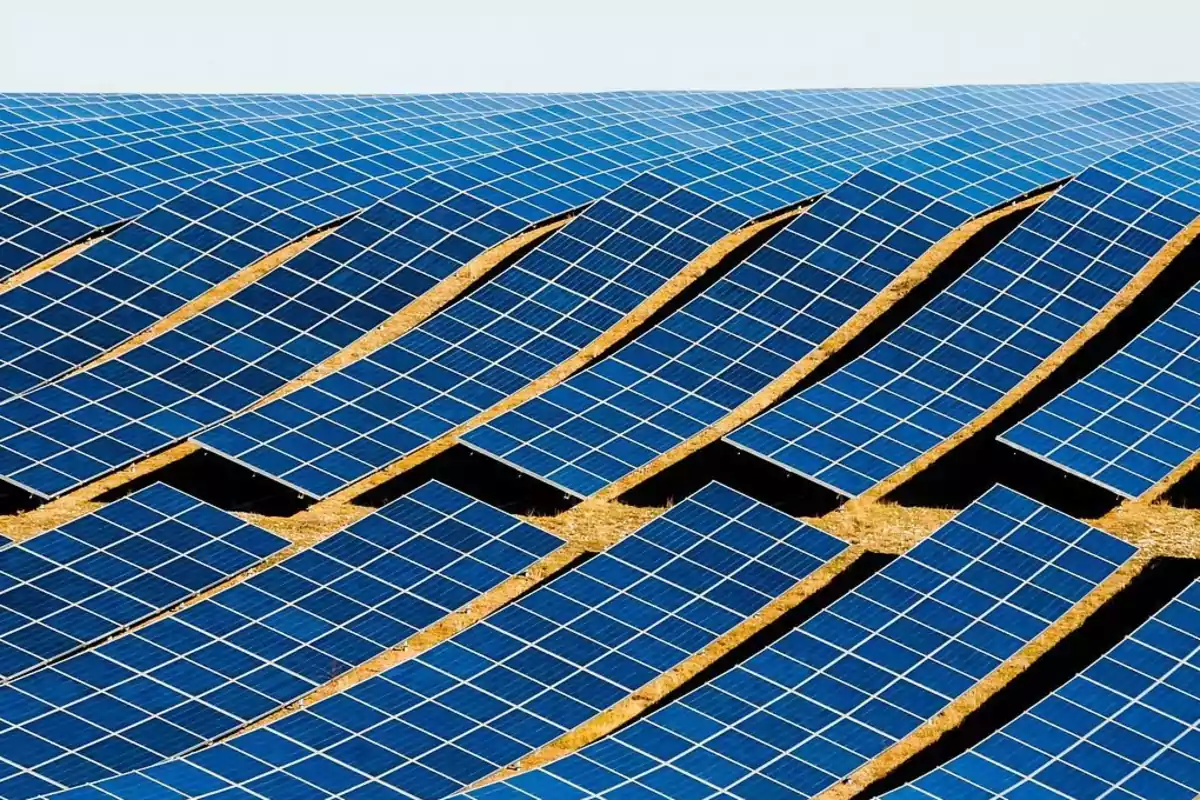 Paneles solares en un campo, dispuestos en filas onduladas.