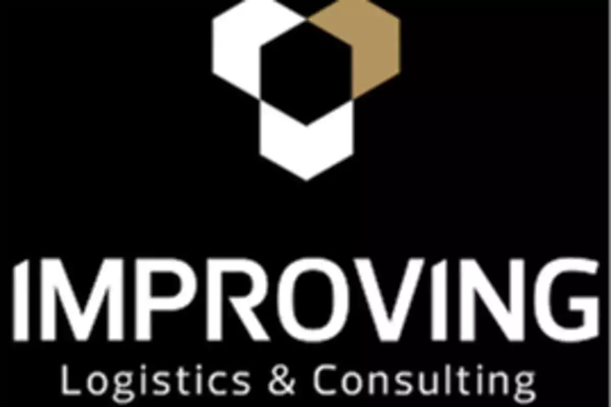 logo de la empresa logistics and consulting