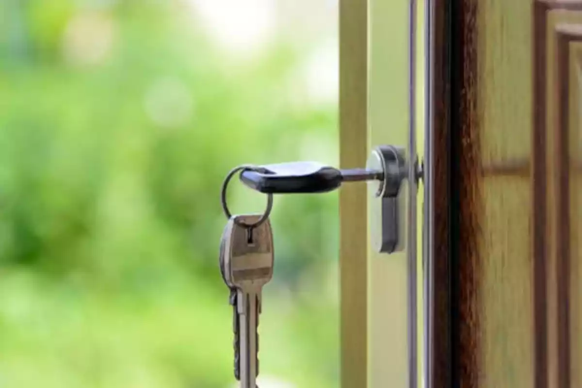 Llave insertada en una cerradura de puerta con fondo verde difuminado.