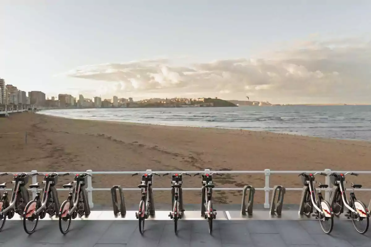 Bicicletas estacionadas frente a una playa con vista a la ciudad y el mar al atardecer.