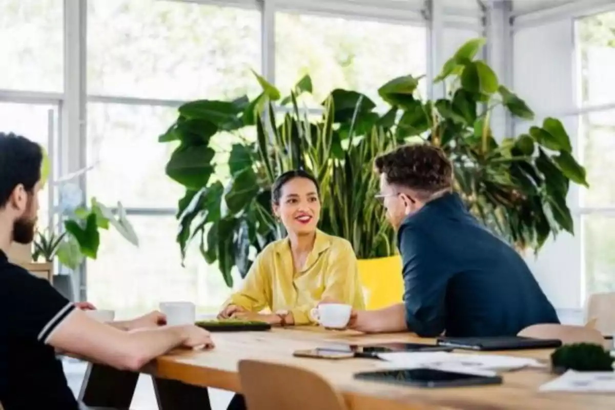 Tres personas conversando en una oficina con plantas grandes al fondo.